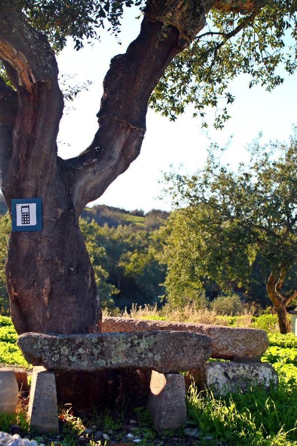 Quinta Da Utopia Castelo de Vide Exterior foto